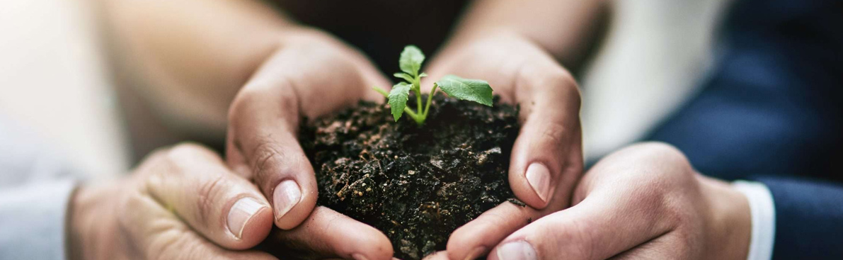 AG8亚洲国际游戏集团